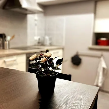 Daire Cosy-terrasse-20min Strasbourg -tv-wi-fi *