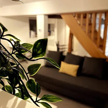 Cosy-terrasse-20min Strasbourg -tv-wi-fi Daire *