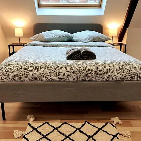Daire Cosy-terrasse-20min Strasbourg -tv-wi-fi *