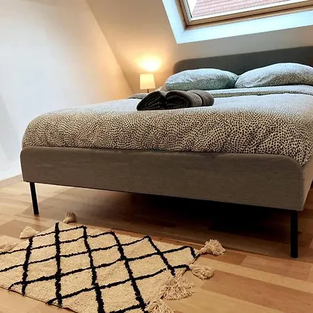 Cosy-terrasse-20min Strasbourg -tv-wi-fi Daire *