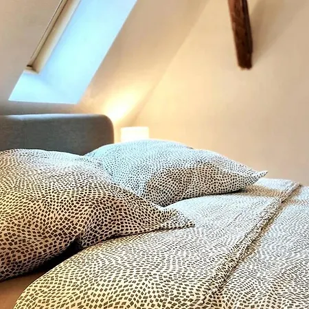 Daire Cosy-terrasse-20min Strasbourg -tv-wi-fi